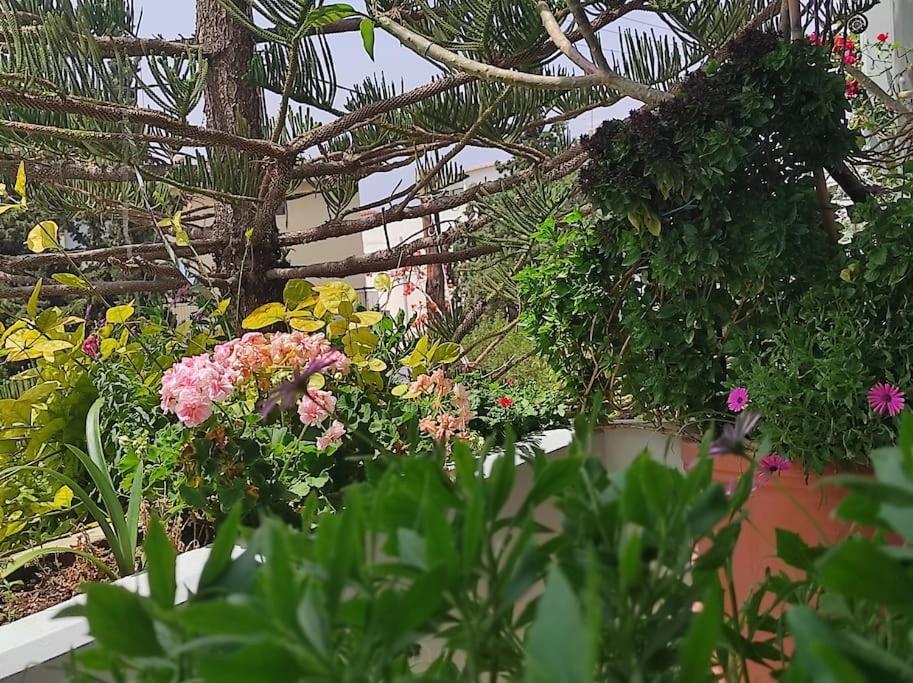 Annitas Luxury Oasis Appartment Atina Dış mekan fotoğraf