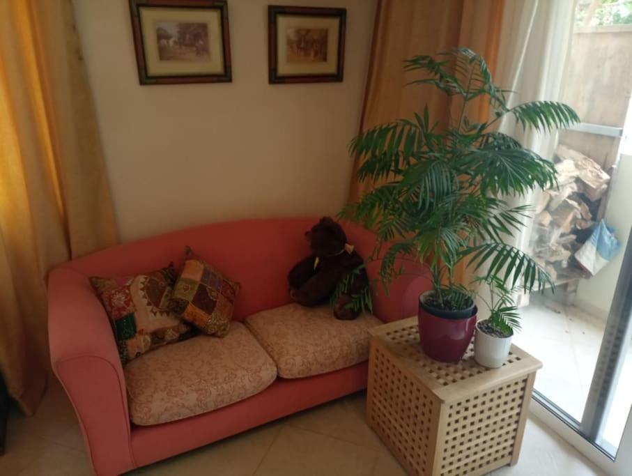 Annitas Luxury Oasis Appartment Atina Dış mekan fotoğraf